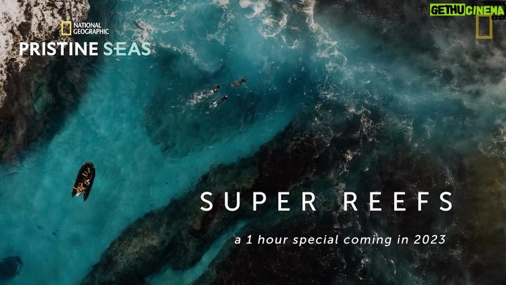Leonardo DiCaprio Instagram - In 2009, National Geographic Pristine Seas (@natgeopristineseas) explored the Southern Line Islands in the Pacific Ocean and found pristine coral reefs, with thriving corals and large fish abundance. But in 2015-16, an unprecedented ocean warming event killed half of the corals. The Pristine Seas team returned in 2021, hoping to see some signs of recovery. What they found instead was the most spectacular recovery of coral reefs ever witnessed, thanks to the full protection of the reefs from human activity as a Marine Protected Area. The full-length Super Reefs film will premiere in 2023.