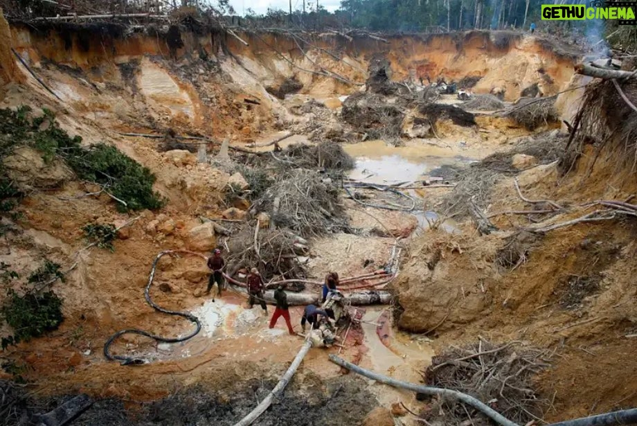 Leonardo DiCaprio Instagram - Deforestation is one of the largest climate issues as vast numbers of precious trees are cut down every year for human needs. Venezuela sees some of the largest deforestations in the world, with the loss of pristine forest estimated to be increasing by around 170%. Deforestation causes soil erosion, flooding, increased greenhouse gas emission, fewer crops, and a host of other problems. For more on this story from @newscientist, click the link in bio. 📷: Jorge Silva