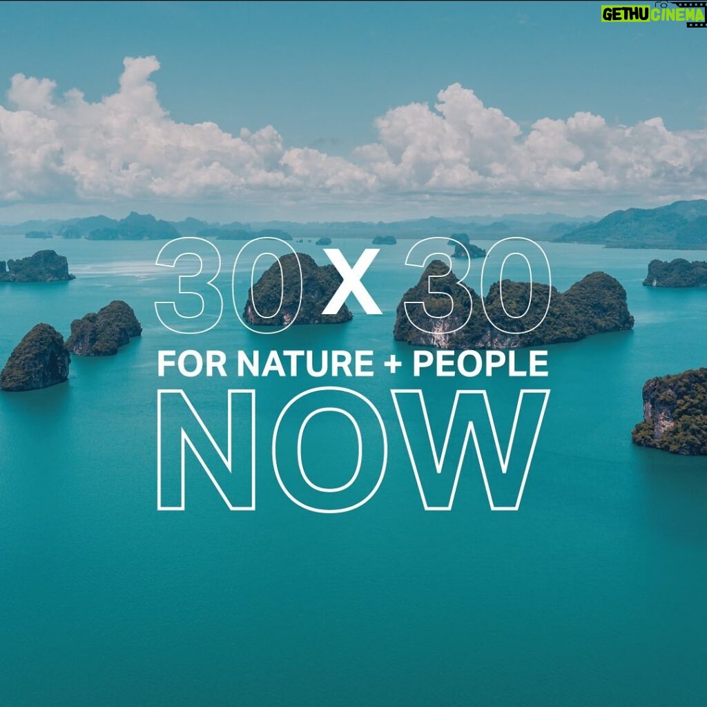 Leonardo DiCaprio Instagram - We could be moments away from a historic global deal for nature that protects at least 30% of terrestrial, inland water, coastal and marine areas by 2030. This plan will focus especially on areas of importance for biodiversity and ecosystem functions and services, while recognizing and respecting Indigenous and traditional territories. World leaders in Montreal must keep their ambitious pledges and vow to follow the science about how to address nature’s unprecedented collapse. The world is calling on all countries to do the right thing for the greater cause of all life on Earth. #CampaignForNature #COP15