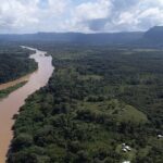 Leonardo DiCaprio Instagram - Congratulations to the government of Honduras for establishing the first inter-institutional control post to protect the critical Tawahka Asangni Reserve and Rio Platano Biosphere Reserve in the Honduran Moskitia Forest. The Moskitia Forest is one of the Five Great Forests of Mesoamerica and it is critical to protecting the region's biodiversity and ensuring its resilience to climate change. In addition to vital forests and endangered wildlife, the new control post will help to protect Indigenous Tawahka and Miskitu communities from land grabs, deforestation, and violence driven by illicit cattle ranchers. This is one of a number of actions necessary to fulfill the administration’s commitments to the conservation and restoration of the Moskitia Forest. 📷 : Daniel Olivera and Jhonny Sevilla/Wildlife Conservation Society