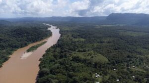 Leonardo DiCaprio Instagram - Congratulations to the government of Honduras for establishing the first inter-institutional control post to protect the critical Tawahka Asangni Reserve and Rio Platano Biosphere Reserve in the Honduran Moskitia Forest.
 
The Moskitia Forest is one of the Five Great Forests of Mesoamerica and it is critical to protecting the region's biodiversity and ensuring its resilience to climate change. In addition to vital forests and endangered wildlife, the new control post will help to protect Indigenous Tawahka and Miskitu communities from land grabs, deforestation, and violence driven by illicit cattle ranchers.
 
This is one of a number of actions necessary to fulfill the administration’s commitments to the conservation and restoration of the Moskitia Forest.
 
📷 : Daniel Olivera and Jhonny Sevilla/Wildlife Conservation Society