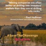 Leonardo DiCaprio Instagram - In @RollingStone's latest investigative report, we take a look at ReconAfrica; a Canadian oil company exploring for oil in one of the most important places for the wild: the Okavango River Basin in Namibia & Botswana. This includes the Okavango Delta, a #KeyBiodiversityArea (KBA) of global importance to the planet’s overall health and the persistence of biodiversity. It’s also a @UNESCO World Heritage site and a #Ramsar wetland site and home to one of the oldest cultures in the world. We can avoid the worst effects of climate change and protect the wild, but we need to stop burning fossil fuels. To read the article, click on the link in bio.