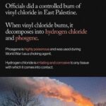 Leonardo DiCaprio Instagram - Repost from @environment • The toxic chemical release in East Palestine, Ohio could be the largest environmental disaster in U.S. history. Animals are dying, people are complaining of nausea, headaches, and burning eyes, and residents are fearing for their safety after a train derailment released chemicals in East Palestine, Ohio. We may not know the full extent of damage from this extreme environmental disaster for years. Norfolk Southern and the government must be held responsible. This content was made by @Environment. Follow @Environment for more climate news and resources. 🌎 Written by @ashleybarriientos 🍃 Design by @crstnpark