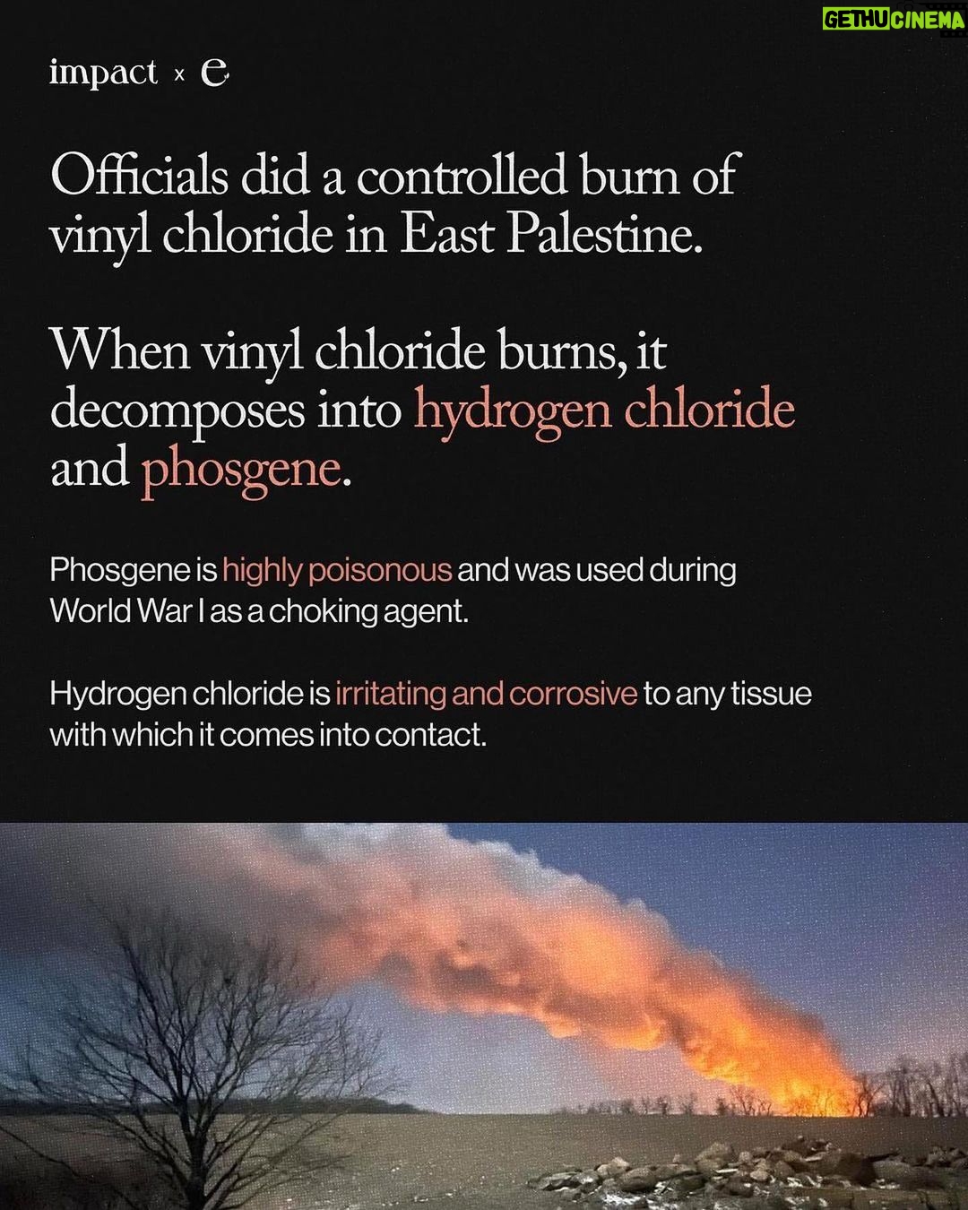 Leonardo DiCaprio - 1 Million Likes - Repost from @environment
•
The toxic chemical release in East Palestine, Ohio could be the largest environmental disaster in U.S. history.
Animals are dying, people are complaining of nausea, headaches, and burning eyes, and residents are fearing for their safety after a train derailment released chemicals in East Palestine, Ohio.
We may not know the full extent of damage from this extreme environmental disaster for years.
Norfolk Southern and the government must be held responsible.
This content was made by @Environment. Follow @Environment for more climate news and resources.
🌎 Written by @ashleybarriientos
🍃 Design by @crstnpark