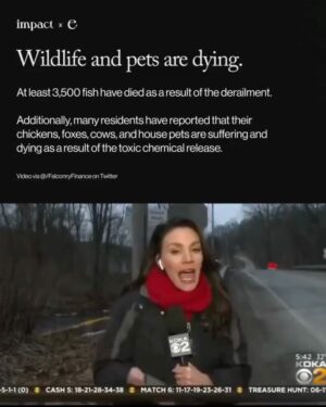 Leonardo DiCaprio Instagram - Repost from @environment
•
The toxic chemical release in East Palestine, Ohio could be the largest environmental disaster in U.S. history. 

Animals are dying, people are complaining of nausea, headaches, and burning eyes, and residents are fearing for their safety after a train derailment released chemicals in East Palestine, Ohio. 

We may not know the full extent of damage from this extreme environmental disaster for years. 

Norfolk Southern and the government must be held responsible. 

This content was made by @Environment. Follow @Environment for more climate news and resources. 

🌎 Written by @ashleybarriientos
🍃 Design by @crstnpark