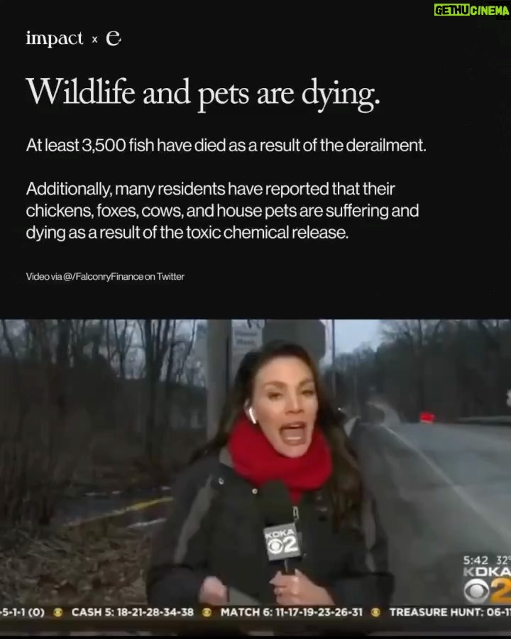Leonardo DiCaprio - 1 Million Likes - Repost from @environment
•
The toxic chemical release in East Palestine, Ohio could be the largest environmental disaster in U.S. history.
Animals are dying, people are complaining of nausea, headaches, and burning eyes, and residents are fearing for their safety after a train derailment released chemicals in East Palestine, Ohio.
We may not know the full extent of damage from this extreme environmental disaster for years.
Norfolk Southern and the government must be held responsible.
This content was made by @Environment. Follow @Environment for more climate news and resources.
🌎 Written by @ashleybarriientos
🍃 Design by @crstnpark