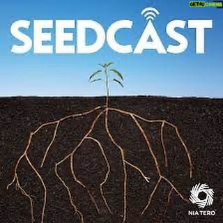 Leonardo DiCaprio Instagram - Seedcast is a narrative podcast produced by @niatero where stories of the Indigenous experience, cultural vitality, and collective guardianship from around the world are deeply explored. Seedcast supports the rights and traditional ways of Indigenous peoples and the goal of the podcast is to amplify Indigenous practices and share stories from around the world to honor the guardians of this land. Click the link in bio to listen.