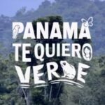Leonardo DiCaprio Instagram - Repost from @rewild: The future of Panama’s protected area Bosque Donoso lies this week in the hands of nine judges of the country’s Supreme Court. The people of Panamá are calling on the Supreme Court to halt the largest mining operation in Central America, by ruling that the mine owned by Minera Panamá is unconstitutional. The mine endangers the lives and health of local communities and threathenes the survival of wildlife and the health of the ecosystem. Together with local and international organizations we stand in solidarity with the people of Panamá, and urge the Supreme Court to reject Central America’s largest open-pit copper mine. Sign the petition at the #linkinbio. #PanamaTeQuieroVerde #PanamáValeMásSinMinería Video credits: collaboration between @duletvindigena @waguafilms @mullu.tv & Passu Creative Community