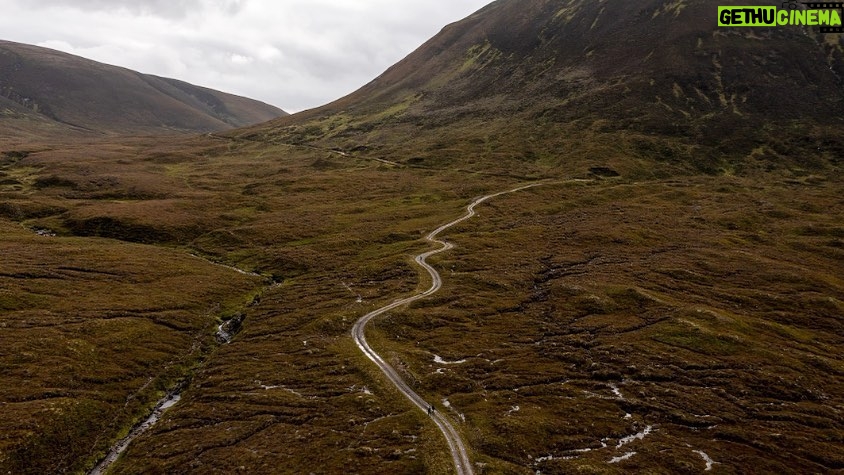 Leonardo DiCaprio Instagram - Once one of the most nature-heavy countries in the world, by the turn of the 20th century, only 5% of Scotland’s land area was covered by forest. Over the past few years, a rewilding effort has taken hold, with a group of individuals leading the charge to rebuild ecosystems to their natural uncultivated states. Learn more about the efforts in Scotland from @natgeo by clicking the link in bio. 📷: Robert Ormerod