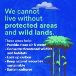 Leonardo DiCaprio Instagram - How many people will it take to protect 30% of the planet’s wild lands by 2030? Five times more protected area personnel than we have right now. A new study from @Rewild and partners estimates that we need a workforce of 2.9 million people, including 1.53 million more rangers. This is the first global census of protected area personnel since 1999 and the first-ever census to include rangers.