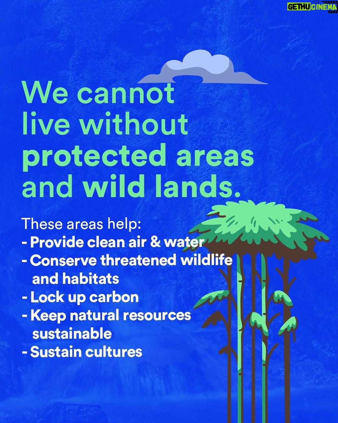 Leonardo DiCaprio Instagram - How many people will it take to protect 30% of the planet’s wild lands by 2030? Five times more protected area personnel than we have right now. A new study from @Rewild and partners estimates that we need a workforce of 2.9 million people, including 1.53 million more rangers. This is the first global census of protected area personnel since 1999 and the first-ever census to include rangers.