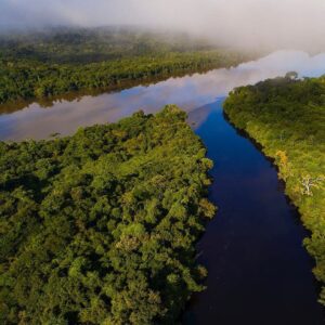 Leonardo DiCaprio Instagram - The outcome of the Brazilian election presents an opportunity to change the course of history, not just for Brazil & the Amazon, but for the world.

Brazil is one of eight countries (plus the overseas territory of French Guiana) that houses the Amazon Rainforest, a vast region called Amazonia. Amazonia is one of the world’s five designated High Biodiversity Wilderness Areas and home to millions of wildlife species, many of which haven’t yet been discovered or described.

It is also critical to the estimated 20 million Indigenous peoples from more than 350 Indigenous groups that depend on natural ecosystems and resources for their livelihoods and cultures. Amazonia stores up to 140 billion tons of carbon and plays a critical role in water cycles, weather patterns and climate regulation.

(📷: João Paulo Krajewski)