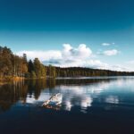 Leonardo DiCaprio Instagram - A new study published in Geophysical Research Letters highlights the effect that climate change is having on the lakes, particularly their emblematic blue color. While green-brown lakes account for most lake types at 69%, air temperature, precipitation, lake depth, and elevation all play a role in the color of lakes, as well as environmental factors such as the presence of algae and sediments. However, shifts in lake colors can indicate a loss of ecosystem health. Learn more about this new phenomenon at the link in the bio. 📷: Eric Stein-Beldring/Unsplash