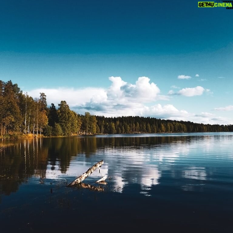 Leonardo DiCaprio Instagram - A new study published in Geophysical Research Letters highlights the effect that climate change is having on the lakes, particularly their emblematic blue color. While green-brown lakes account for most lake types at 69%, air temperature, precipitation, lake depth, and elevation all play a role in the color of lakes, as well as environmental factors such as the presence of algae and sediments. However, shifts in lake colors can indicate a loss of ecosystem health. Learn more about this new phenomenon at the link in the bio. 📷: Eric Stein-Beldring/Unsplash
