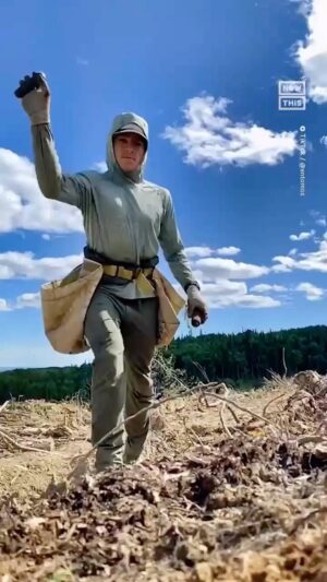 Leonardo DiCaprio Instagram - From @nowthisnews: Planting thousands of trees in a day?!
23-year-old @antoine_moses plants thousands of trees a day — here's how he grew his hobby into a world record
#worldnatureconservationday #environment #trees #plants