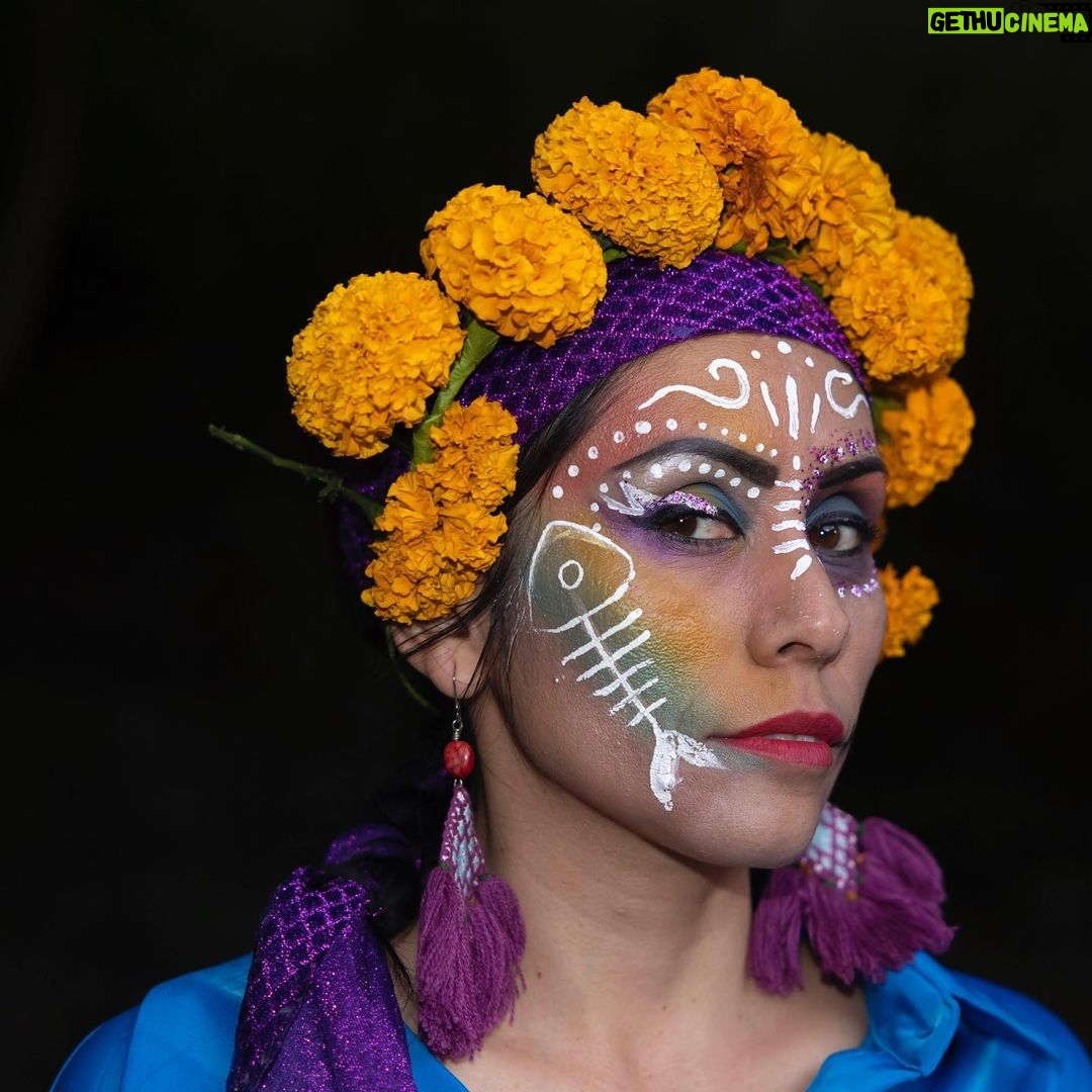 Leonardo DiCaprio - 316.2K Likes - This year’s Day of the Dead celebrations included a unique ‘resurrection’ in Jalisco, Mexico, where conservationists released more than 1,000 Golden Skiffia into the fish’s native range in the Teuchitlán River. The freshwater fish had not been documented in the wild since the late 1990s. The events, in the midst of Mexico’s #DayoftheDead celebrations, included formal speeches, traditional dances and the official release of the fish.
Bringing the species back from the ‘dead’ is the result of collaborative conservation work between Michoacan University of Mexico, @chesterzoo, the Goodeid Working Group and @Shoal_Org (a program of @Rewild and @synchearth).
Photos by @manfredmeiners77