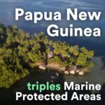 Leonardo DiCaprio Instagram - Today, two new Marine Protected Areas (MPAs) in Lovongai and Murat have officially tripled the protected waters of Papua New Guinea - spanning over 6,000 square miles. Protecting these ecosystems is vital to mitigating the effects of climate change and biodiversity loss. Coastal seas contain 70% of all ocean biodiversity and all of the world’s mangroves and seagrass beds. This project is the culmination of nearly 7 years of work by @thewcs Papua New Guinea team, who led consultations with upwards of 9,000 community members and countless delegates from the local and national government level as well as local NGOs for the creation of these MPAs. @rewild was proud to support these efforts and is thrilled to celebrate this milestone, ensuring Indigenous peoples lead the protection of their coastal seas. Photo credit: Elodie Van Lierde - WCS