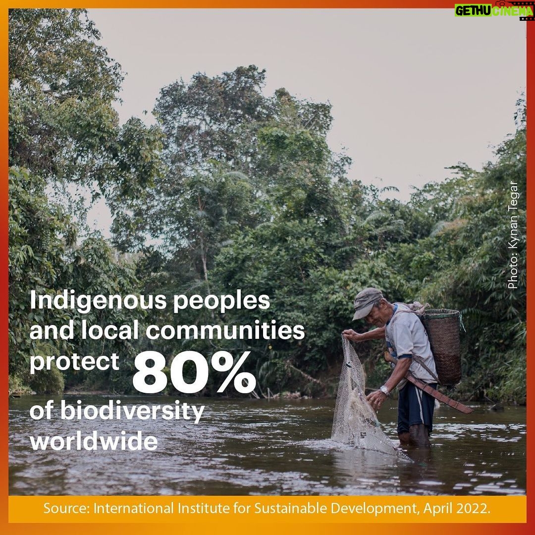 Leonardo DiCaprio Instagram - Acknowledging the fundamental work of Indigenous peoples and local communities in protecting the Earth. They keep hope alive for a bright future. Despite all odds and threats, science has proven that they are the most effective #GuardiansOfTomorrow. They need more support to defend their rights and lands. They have and are still putting themselves on the frontlines to tackle the climate crisis. Let Indigenous peoples and local communities lead. Follow @globalalliancet to learn more. π·: @camilafalquez