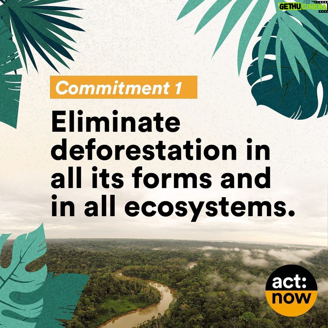 Leonardo DiCaprio Instagram - I am proud to stand with the people of Brazil calling on all 12 presidential candidates to publicly commit to four critical actions for our planet: ending deforestation, reducing emissions, respecting Indigenous peoples’ rights and lands, and strengthening the system of protected areas. Show your support through the @GLBLCTZN petition at the link in bio. -- Tenho orgulho de estar ao lado do povo brasileiro convocando todos os 12 candidatos a presidente a se comprometerem publicamente com quatro ações críticas para o nosso planeta: acabar com o desmatamento, reduzir as emissões, respeitar os direitos e os territórios dos povos indígenas e fortalecer o sistema de áreas protegidas. Mostre seu apoio através da petição @GLBLCTZN no link na bio. @Rewild @redeprouc @cepbofficial @menos1lixo #RewildBrazil