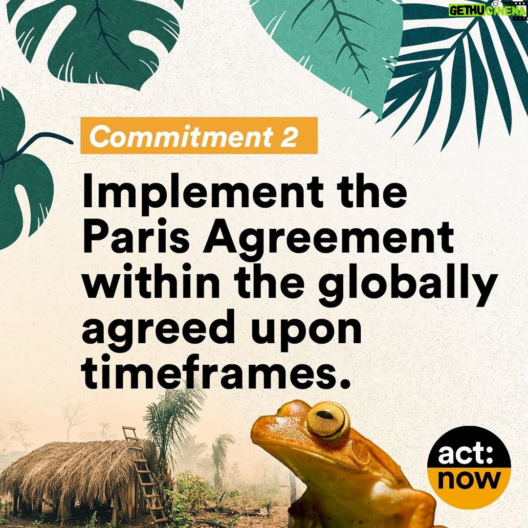 Leonardo DiCaprio Instagram - I am proud to stand with the people of Brazil calling on all 12 presidential candidates to publicly commit to four critical actions for our planet: ending deforestation, reducing emissions, respecting Indigenous peoples’ rights and lands, and strengthening the system of protected areas. Show your support through the @GLBLCTZN petition at the link in bio. -- Tenho orgulho de estar ao lado do povo brasileiro convocando todos os 12 candidatos a presidente a se comprometerem publicamente com quatro ações críticas para o nosso planeta: acabar com o desmatamento, reduzir as emissões, respeitar os direitos e os territórios dos povos indígenas e fortalecer o sistema de áreas protegidas. Mostre seu apoio através da petição @GLBLCTZN no link na bio. @Rewild @redeprouc @cepbofficial @menos1lixo #RewildBrazil