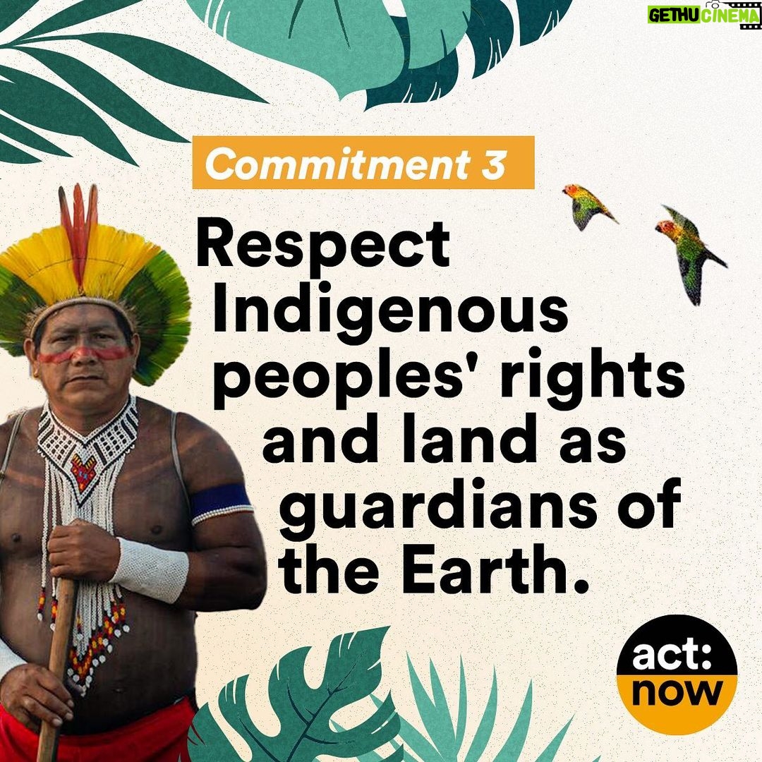 Leonardo DiCaprio Instagram - I am proud to stand with the people of Brazil calling on all 12 presidential candidates to publicly commit to four critical actions for our planet: ending deforestation, reducing emissions, respecting Indigenous peoples’ rights and lands, and strengthening the system of protected areas. Show your support through the @GLBLCTZN petition at the link in bio. -- Tenho orgulho de estar ao lado do povo brasileiro convocando todos os 12 candidatos a presidente a se comprometerem publicamente com quatro ações críticas para o nosso planeta: acabar com o desmatamento, reduzir as emissões, respeitar os direitos e os territórios dos povos indígenas e fortalecer o sistema de áreas protegidas. Mostre seu apoio através da petição @GLBLCTZN no link na bio. @Rewild @redeprouc @cepbofficial @menos1lixo #RewildBrazil