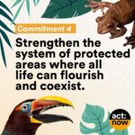 Leonardo DiCaprio Instagram - I am proud to stand with the people of Brazil calling on all 12 presidential candidates to publicly commit to four critical actions for our planet: ending deforestation, reducing emissions, respecting Indigenous peoples’ rights and lands, and strengthening the system of protected areas. Show your support through the @GLBLCTZN petition at the link in bio. -- Tenho orgulho de estar ao lado do povo brasileiro convocando todos os 12 candidatos a presidente a se comprometerem publicamente com quatro ações críticas para o nosso planeta: acabar com o desmatamento, reduzir as emissões, respeitar os direitos e os territórios dos povos indígenas e fortalecer o sistema de áreas protegidas. Mostre seu apoio através da petição @GLBLCTZN no link na bio. @Rewild @redeprouc @cepbofficial @menos1lixo #RewildBrazil