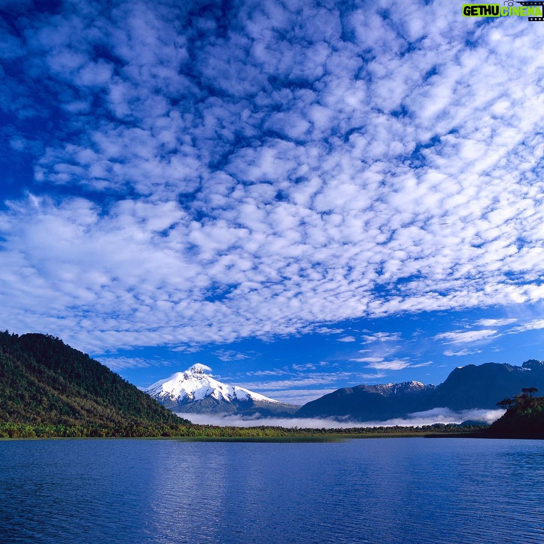 Leonardo DiCaprio - 491.4K Likes - The Chilean administration, @tompkins_conservation, @FundacionMelimoyu, and Centro Balleza Azul are protecting wildland with the new Tic Toc-Corcovado Gulf Marine Park. The recently established Patagonian park will protect over 250,000 acres of habitat critical to marine biodiversity, including Blue Whale feeding and breeding areas where at least 10% of the world's Blue Whale population lives.
Although Chilean fjords are known globally as hotspots for biodiversity, less than 1% are strictly protected. @tompkins_conservation is working to conserve these critical and fragile ecosystems, aiming to increase protected areas of Patagonia’s coastal and shelf marine ecosystems to 10%.