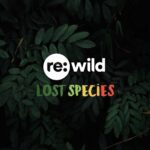 Leonardo DiCaprio Instagram - There are more than 2,000 species that are lost to science, but my organization @rewild and our partners around the world are working to find them. The Search for Lost Species is the largest global quest to find plants, animals and fungi that have not been seen in at least 10 years. Since Re:wild launched the Search for Lost Species in 2017, nine of the world’s 25 most wanted lost species have been found, in addition to dozens of others outside of this list, by Re:wild and partners. For the month of October, Re:wild is partnering with the International Union for the Conservation of Nature (IUCN) Species Survival Commission, the global authority on the status of species, for the first-ever Lost Species Month. With help of conservationists, researchers, citizen scientists, local communities, and eternal optimists from around the world, the Search for #LostSpecies is on.