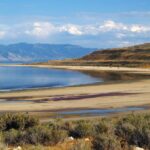 Leonardo DiCaprio Instagram - A group of conservation organizations including the @UtahRiversCouncil, @sierraclub, @utahphysicians, @americanbirdconservancy, and @centerforbiodiv are calling on the Utah government to do more to prevent the Great Salt Lake from drying up as the result of upstream water diversions. According to a recent @sltrib story, the Great Salt Lake supports more than 10 million migrating birds that are in jeopardy of a massive die-off, along with brine shrimp and other wildlife that depends on the lake. Even more, as the lakebed dries, it turns into a toxic dust that could potentially poison the millions of people who live along the Wasatch Front if nothing is done. “Every Utahn should be very worried about Utah’s failure to restore the Great Salt Lake,” said Zach Frankel, executive director of Utah Rivers Council. “We have the tools available to us to raise the Great Salt Lake’s water levels. But we’re failing to hold our elected and appointed officials accountable for even establishing so much as a goal to raise the lake.” Visit the link in bio to sign the petition from @sierraclubutah to ask Utah’s political leaders to set an example by protecting and restoring the largest saline ecosystem in the Western Hemisphere.