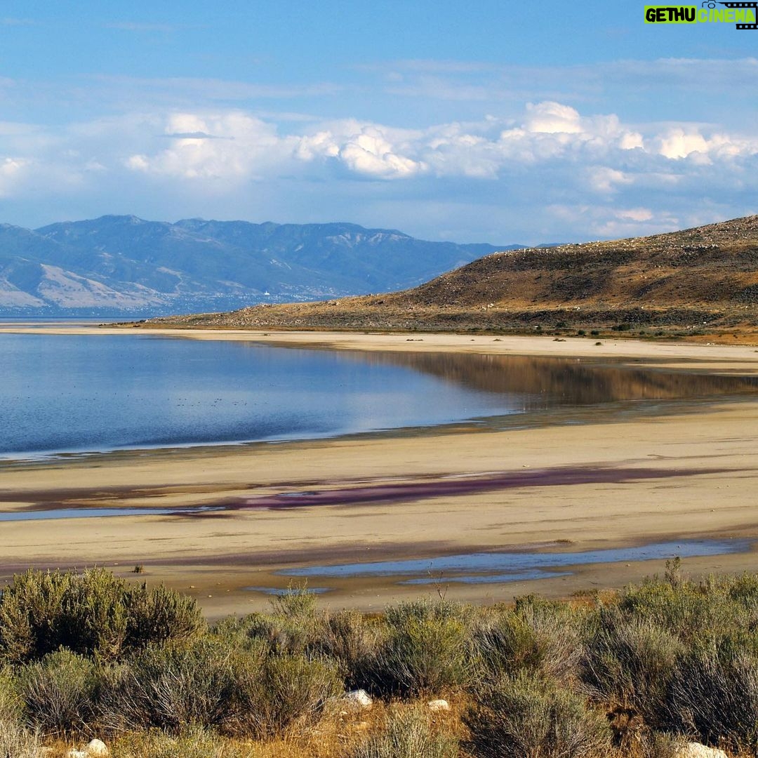 Leonardo DiCaprio Instagram - A group of conservation organizations including the @UtahRiversCouncil, @sierraclub, @utahphysicians, @americanbirdconservancy, and @centerforbiodiv are calling on the Utah government to do more to prevent the Great Salt Lake from drying up as the result of upstream water diversions. According to a recent @sltrib story, the Great Salt Lake supports more than 10 million migrating birds that are in jeopardy of a massive die-off, along with brine shrimp and other wildlife that depends on the lake. Even more, as the lakebed dries, it turns into a toxic dust that could potentially poison the millions of people who live along the Wasatch Front if nothing is done. “Every Utahn should be very worried about Utah’s failure to restore the Great Salt Lake,” said Zach Frankel, executive director of Utah Rivers Council. “We have the tools available to us to raise the Great Salt Lake’s water levels. But we’re failing to hold our elected and appointed officials accountable for even establishing so much as a goal to raise the lake.” Visit the link in bio to sign the petition from @sierraclubutah to ask Utah’s political leaders to set an example by protecting and restoring the largest saline ecosystem in the Western Hemisphere.