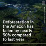 Leonardo DiCaprio Instagram - Repost from @nowthisearth • In the first 8 months of 2023, there has been 48% less deforestation in the Amazon compared to the same time period last year, based on satellite data gathered by Brazil’s space research agency INPE. The data also showed that there’s been approx 66% less deforestation this month, making it the region’s least destructive August since 2018. President Luiz Inácio Lula da Silva said he aims to end deforestation in the Amazon completely by 2030. Since taking office, he has tightened regulations and demarcated Indigenous land to help slow the rate of deforestation.