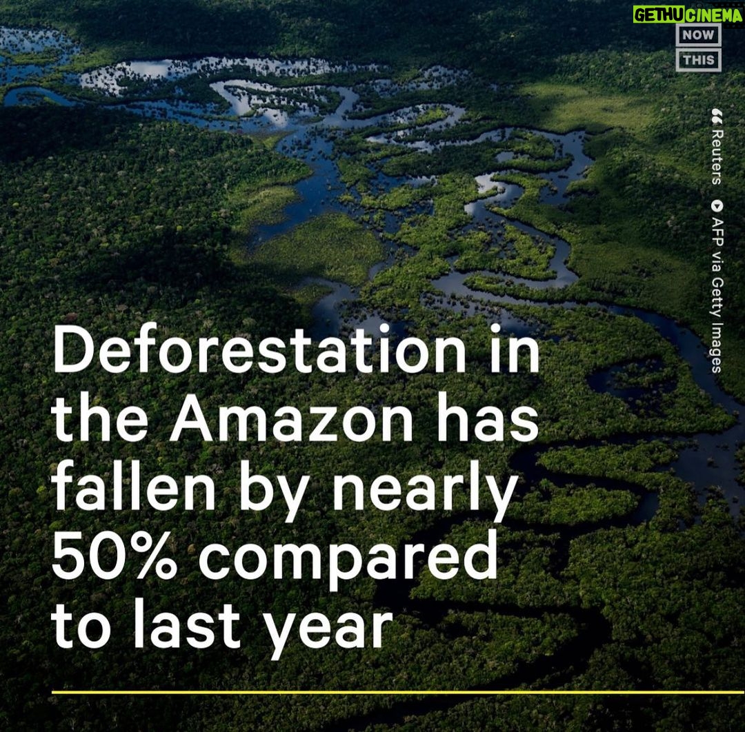 Leonardo DiCaprio Instagram - Repost from @nowthisearth • In the first 8 months of 2023, there has been 48% less deforestation in the Amazon compared to the same time period last year, based on satellite data gathered by Brazil’s space research agency INPE. The data also showed that there’s been approx 66% less deforestation this month, making it the region’s least destructive August since 2018. President Luiz Inácio Lula da Silva said he aims to end deforestation in the Amazon completely by 2030. Since taking office, he has tightened regulations and demarcated Indigenous land to help slow the rate of deforestation.