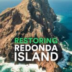 Leonardo DiCaprio Instagram - What was once a barren ‘moonscape’ has now been rejuvenated as a gem of the Caribbean. The Redonda Ecosystem Reserve, part of Antigua and Barbuda, covers almost 75,000 acres (30,000 hectares) of land and sea that has now been granted protected area status. The new designation is the result of the ongoing efforts of the government of Antigua and Barbuda, particularly the Department of Environment (DoE) @do_environ and local and international conservation NGOs, including the @eagantigua (EAG), @faunafloraint and @rewild. This now lush wildlife sanctuary protects the entire island, its surrounding seagrass meadows and coral reefs. The Redonda Ecosystem Reserve is home to at least 30 globally threatened and near-threatened species, along with globally important seabird colonies. Congratulations to everyone who has made this happen and who continue to work together on a range of actions to support Redonda’s biodiversity, including monitoring the recovery of native species and the marine environment, and planning the reintroduction of native species that cannot find their own way back to the island, such as iguanas and Burrowing Owls. #RewildTheCaribbean