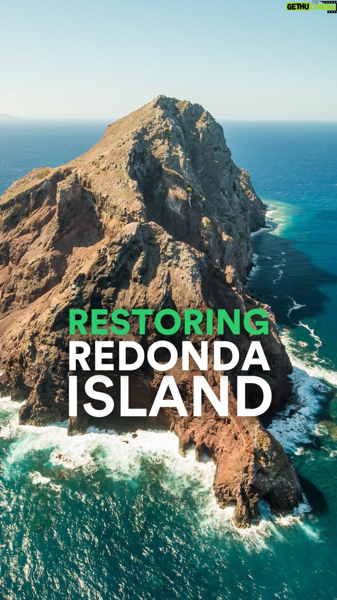 Leonardo DiCaprio Instagram - What was once a barren ‘moonscape’ has now been rejuvenated as a gem of the Caribbean. The Redonda Ecosystem Reserve, part of Antigua and Barbuda, covers almost 75,000 acres (30,000 hectares) of land and sea that has now been granted protected area status. The new designation is the result of the ongoing efforts of the government of Antigua and Barbuda, particularly the Department of Environment (DoE) @do_environ and local and international conservation NGOs, including the @eagantigua (EAG), @faunafloraint and @rewild. This now lush wildlife sanctuary protects the entire island, its surrounding seagrass meadows and coral reefs. The Redonda Ecosystem Reserve is home to at least 30 globally threatened and near-threatened species, along with globally important seabird colonies. Congratulations to everyone who has made this happen and who continue to work together on a range of actions to support Redonda’s biodiversity, including monitoring the recovery of native species and the marine environment, and planning the reintroduction of native species that cannot find their own way back to the island, such as iguanas and Burrowing Owls. #RewildTheCaribbean