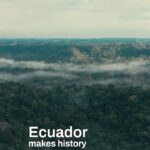 Leonardo DiCaprio Instagram - Ecuadorians have made history in voting YES to people and planet and NO to Big Oil in one of the most biodiverse places on Earth, home to more species of trees in a single hectare than in the Continental US and Canada combined. In a historic referendum on Sunday, nearly 60% of Ecuadorians cast their votes in favor of safeguarding a vital portion of Yasuní National Park in the Amazon rainforest by keeping crude oil in the ground. Thanks in large part to the unwavering dedication of grassroots and Indigenous activists, this moment signifies the power of the people in choosing people and planet over profit. #YasuníVictory #SíAlYasuní #YesToYasuní
