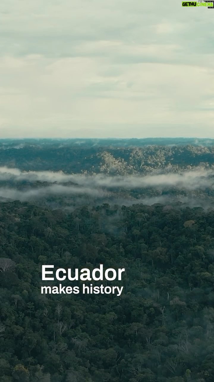 Leonardo DiCaprio Instagram - Ecuadorians have made history in voting YES to people and planet and NO to Big Oil in one of the most biodiverse places on Earth, home to more species of trees in a single hectare than in the Continental US and Canada combined. In a historic referendum on Sunday, nearly 60% of Ecuadorians cast their votes in favor of safeguarding a vital portion of Yasuní National Park in the Amazon rainforest by keeping crude oil in the ground. Thanks in large part to the unwavering dedication of grassroots and Indigenous activists, this moment signifies the power of the people in choosing people and planet over profit. #YasuníVictory #SíAlYasuní #YesToYasuní