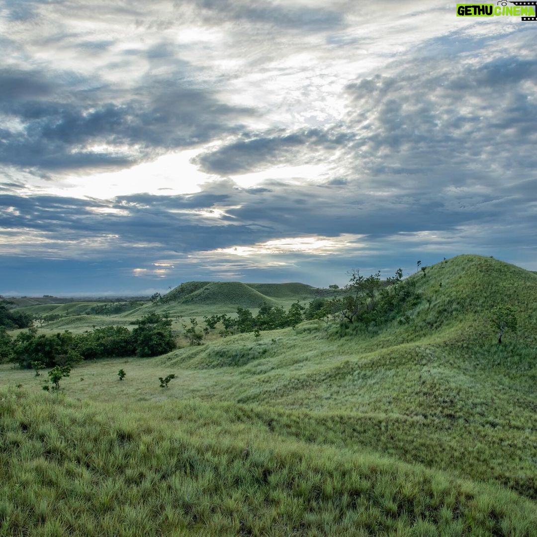 Leonardo DiCaprio Instagram - A new national park has been established in Colombia. At more than 168,000 acres, the National Natural Park Serrania de Manacacías will safeguard six unique ecosystems and boundless wildlife, including Ocelots, South American Tapirs, South American Coatis, and a quarter of all known bird species in Colombia. This new park will also protect a critical wildlife corridor and will connect the Orinoquía—the continent’s largest tropical savanna—to the Amazon, the largest river basin and rainforest on Earth. The creation of the National Natural Park Serrania de Manacacías highlights Colombia’s commitment to the global goal of protecting 30% of the planet by 2030, to the benefit of all life on Earth. This victory is the result of the incredible combined efforts of Colombia’s National Parks Agency (PNN), international and local environmental organizations, civil society organizations, philanthropists, artists, and government institutions. The project originated with the hard work of local partners; Jack Dangermond, founder of ESRI (@esrigram); Wyss Foundation; Haley Mellin, founder of Art into Acres; artist Carol Bove; and the David Zwirner Gallery (@davidzwirner); in addition to the financial support of Re:wild through our Amazon Forest Fund. Critical partners on this project include The Nature Conservancy (@nature_org), the Institute of Investigation of Biological Resources Alexander von Humboldt (@instituto_humboldt), the Institute of Natural Sciences of the National University of Colombia, Wildlife Conservation Society (@thewcs), WWF (@wwf), the Corporation for the Sustainable Development of the La Macarena Special Management Area (Cormacarena), and the Alliance for the Conservation of Biodiversity, Territory and Culture. Learn more at the #linkinbio Photo credit: Rodrigo Durán Bahamón PNN #ArtIntoAcres #Colombia #ProtectedAreas #Biodiversity #Conservation #Rewild