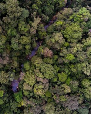 Leonardo DiCaprio Instagram - Ecuador is making strides in its commitment to 30x30, aiming to safeguard at least 30% of its terrestrial and marine environments by 2030. 

The Ecuadorian National System of Protected Areas now has 77 protected areas and 30 protected freshwater areas totaling more than 26.2 million hectares of key watersheds and their surrounding ecosystems, covering nearly 20% of the country.

The Ministry of Environment (@ambienteec), in collaboration with our partners @naturecultureinternational, @fundacion.jocotoco and local communities, with direct technical and financial support from @rewild and @bezosearthfund, has officially declared more than 163,000 acres of new protected areas— safeguarding critical Chocó (lowland tropical forest), high montane forests, páramo (high altitude grasslands) and critical watersheds.

Photo Credits: Javier Aznar, Alex Wiles, James Muchmore, Scott Trageser, Fundación Jocotoco, Nature & Culture International