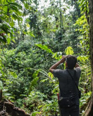 Leonardo DiCaprio Instagram - Ecuador is making strides in its commitment to 30x30, aiming to safeguard at least 30% of its terrestrial and marine environments by 2030. 

The Ecuadorian National System of Protected Areas now has 77 protected areas and 30 protected freshwater areas totaling more than 26.2 million hectares of key watersheds and their surrounding ecosystems, covering nearly 20% of the country.

The Ministry of Environment (@ambienteec), in collaboration with our partners @naturecultureinternational, @fundacion.jocotoco and local communities, with direct technical and financial support from @rewild and @bezosearthfund, has officially declared more than 163,000 acres of new protected areas— safeguarding critical Chocó (lowland tropical forest), high montane forests, páramo (high altitude grasslands) and critical watersheds.

Photo Credits: Javier Aznar, Alex Wiles, James Muchmore, Scott Trageser, Fundación Jocotoco, Nature & Culture International
