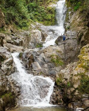 Leonardo DiCaprio Instagram - Ecuador is making strides in its commitment to 30x30, aiming to safeguard at least 30% of its terrestrial and marine environments by 2030. 

The Ecuadorian National System of Protected Areas now has 77 protected areas and 30 protected freshwater areas totaling more than 26.2 million hectares of key watersheds and their surrounding ecosystems, covering nearly 20% of the country.

The Ministry of Environment (@ambienteec), in collaboration with our partners @naturecultureinternational, @fundacion.jocotoco and local communities, with direct technical and financial support from @rewild and @bezosearthfund, has officially declared more than 163,000 acres of new protected areas— safeguarding critical Chocó (lowland tropical forest), high montane forests, páramo (high altitude grasslands) and critical watersheds.

Photo Credits: Javier Aznar, Alex Wiles, James Muchmore, Scott Trageser, Fundación Jocotoco, Nature & Culture International