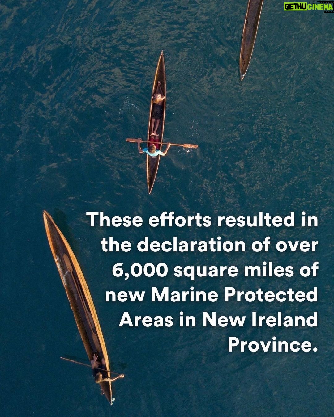 Leonardo DiCaprio Instagram - Today, two new Marine Protected Areas (MPAs) in Lovongai and Murat have officially tripled the protected waters of Papua New Guinea - spanning over 6,000 square miles. Protecting these ecosystems is vital to mitigating the effects of climate change and biodiversity loss. Coastal seas contain 70% of all ocean biodiversity and all of the world’s mangroves and seagrass beds. This project is the culmination of nearly 7 years of work by @thewcs Papua New Guinea team, who led consultations with upwards of 9,000 community members and countless delegates from the local and national government level as well as local NGOs for the creation of these MPAs. @rewild was proud to support these efforts and is thrilled to celebrate this milestone, ensuring Indigenous peoples lead the protection of their coastal seas. Photo credit: Elodie Van Lierde - WCS