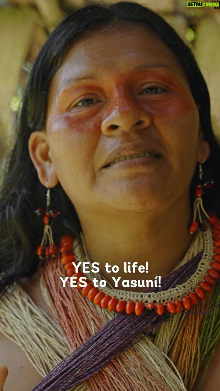 Leonardo DiCaprio - 254.3K Likes - Join me in saying #SíAlYasuní.
Yasuní National Park stands as the most biodiverse location on our planet. Within its forests reside many Indigenous communities who hold ancestral rights to the land and who actively steward biodiversity. Yasuní is home to some of the last Indigenous tribes living in voluntary isolation—the Tagaeri, Taromenane, and Dugakaeri tribes. But the destiny of Yasuní hangs precariously in the balance, threatened by the looming presence of the petroleum industry.
Proposed ventures by the fossil fuel sector cast a shadow over this critical ecosystem, threatening mass deforestation and species loss. The implications are dire, with the very survival of these Indigenous communities imperiled.
Presented with a pivotal moment in history, Ecuadorians hold the power to safeguard Yasuní and its people. On August 20, the people of Ecuador have an historic opportunity to vote in favor of safeguarding a significant portion of Yasuní rainforest. Let’s commend this opportunity for Ecuadorians to exercise their voices in favor of Yasuní. I stand with the people of Ecuador saying #YestoYasuní.
For more information follow @sialyasuni and their Indigenous youth ally @jovenes_amazonicos_ec #SupportYasuní #YasuníITT
Produced by @mullu.tv & @jovenes_amazonicos_ec in collaboration with the Waorani Nationality of Ecuador & Okienani Waorani Association of Orellana