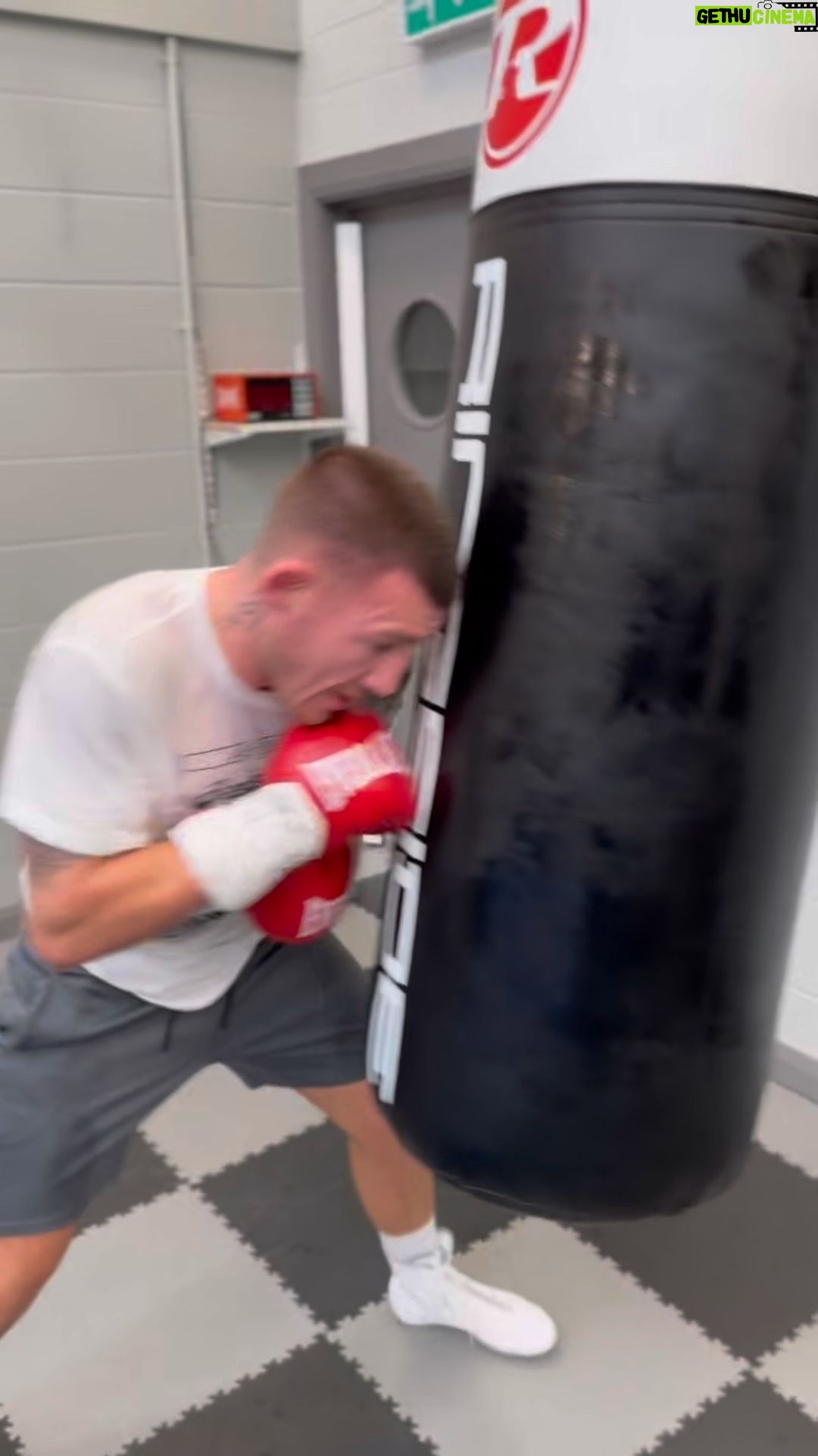 Liam Williams - 1.2K Likes - Good hard graft this morning to start the week 📈
-
Hopefully some fight news to come this week.. bigger & better things to come ✅
#machine 🥊
