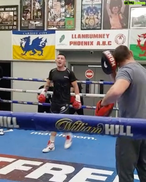 Liam Williams - 3.2K Likes - Big fuck up Friday session done this morning.. haven’t felt right since but I heard that @pads_with_rel ain’t feeling great after the body shot he took either 🤣
-
Absolutely love my new @mizunouk boots too.. sexiest boot on the market 😍 thanks for looking after me and getting a quick turn around 🤝🏻 the best!
-
#machine #teamwilliams 🥊
