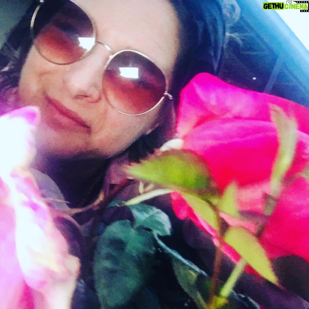 Libby Tanner Instagram - #ineverpromisedyouarosegarden #adlibtheatre🍀 x