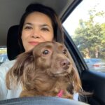 Lilan Bowden Instagram - Tuesday 12pm PST I’m going to be LIVE-STREAMING with the most fire candidate running for Congress, David Kim!! @davidkimforca Also I’ll pop on half an hour earlier to talk about whatever - Andi Mack, Murderville, Parks and Recreation, my dog Penny, so come say hi even if you’re not in LA 😎 But honestly local elections got me pumped- Usually elections are about just choosing the least evil candidate but not this time baby!! David Kim is running for Congress in LA. His platform is about: environmental protection, immigrant rights, making sure workers can make a living wage and afford rent, investing in youth and education, effective and compassionate solutions to end homelessness, and once again, look for these ppl on your ballot: NOT taking corporate lobbyist money and caving in to special interests!! This is a must. Don’t you want to meet someone like that?! Well now you can this Tue at 12pm PST!! Pics 1. Info for this week’s livestream 2. My dog Penny 3. Map of District 34 - check to see if you live here! EDIT: map is outdated just google District CA 34 thanks 🙏