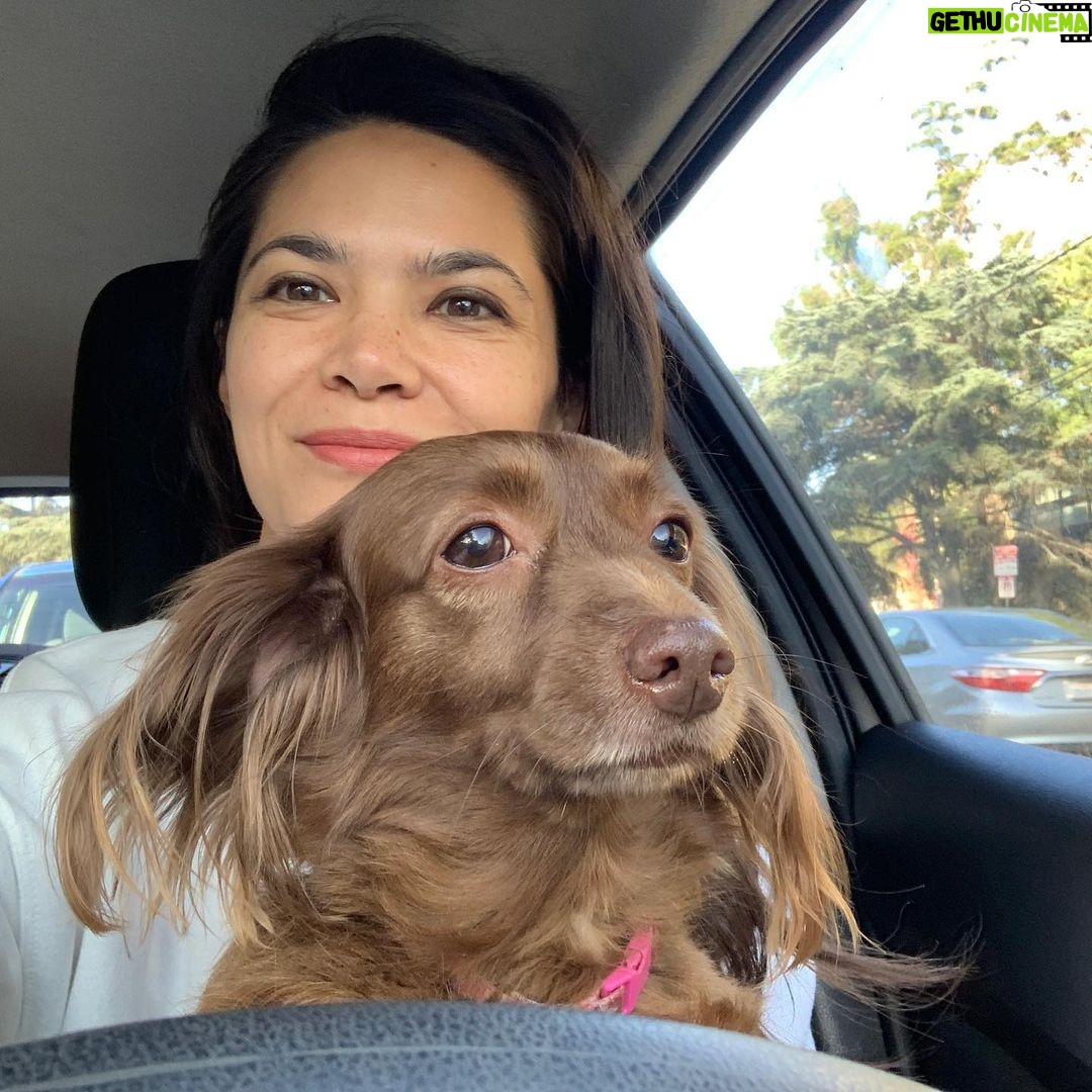 Lilan Bowden Instagram - Tuesday 12pm PST I’m going to be LIVE-STREAMING with the most fire candidate running for Congress, David Kim!! @davidkimforca Also I’ll pop on half an hour earlier to talk about whatever - Andi Mack, Murderville, Parks and Recreation, my dog Penny, so come say hi even if you’re not in LA 😎 But honestly local elections got me pumped- Usually elections are about just choosing the least evil candidate but not this time baby!! David Kim is running for Congress in LA. His platform is about: environmental protection, immigrant rights, making sure workers can make a living wage and afford rent, investing in youth and education, effective and compassionate solutions to end homelessness, and once again, look for these ppl on your ballot: NOT taking corporate lobbyist money and caving in to special interests!! This is a must. Don’t you want to meet someone like that?! Well now you can this Tue at 12pm PST!! Pics 1. Info for this week’s livestream 2. My dog Penny 3. Map of District 34 - check to see if you live here! EDIT: map is outdated just google District CA 34 thanks 🙏