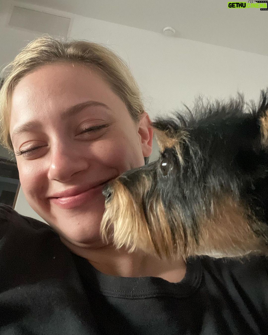 Lili Reinhart Instagram - You all okay out there?