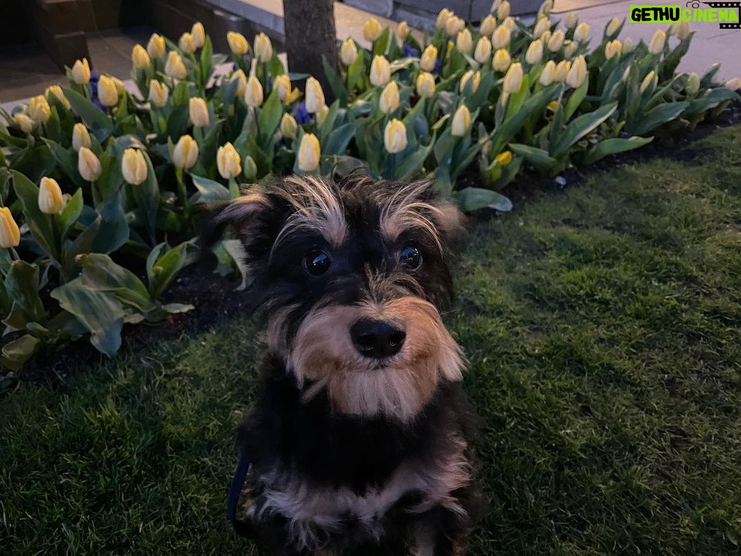Lili Reinhart Instagram - Springtime baby 🌷