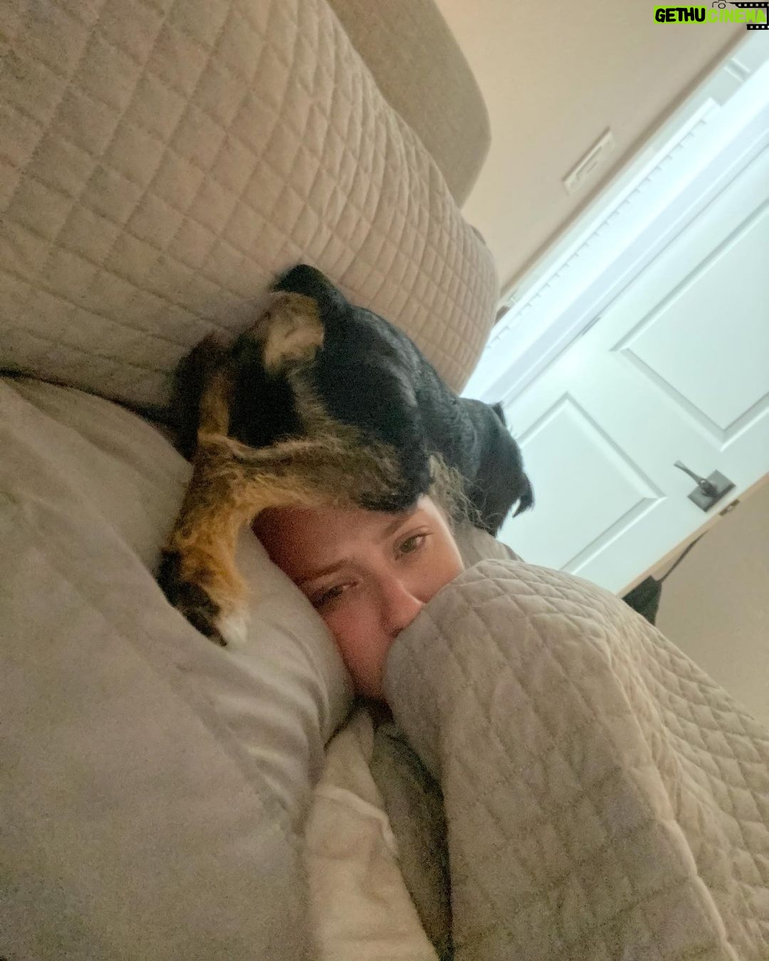 Lili Reinhart Instagram - One year ago today I took Milo home with me... and damn, I hit the jackpot. My sweet little rescue dog has been an incredible source of love for me this year and I can’t wait to keep making memories with my little man.